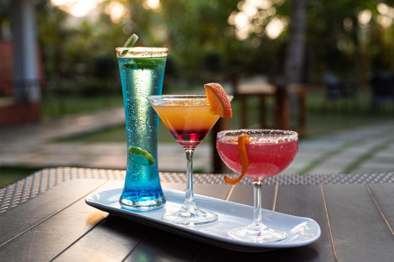 Wild Berry Resort Agonda 캔코나 외부 사진