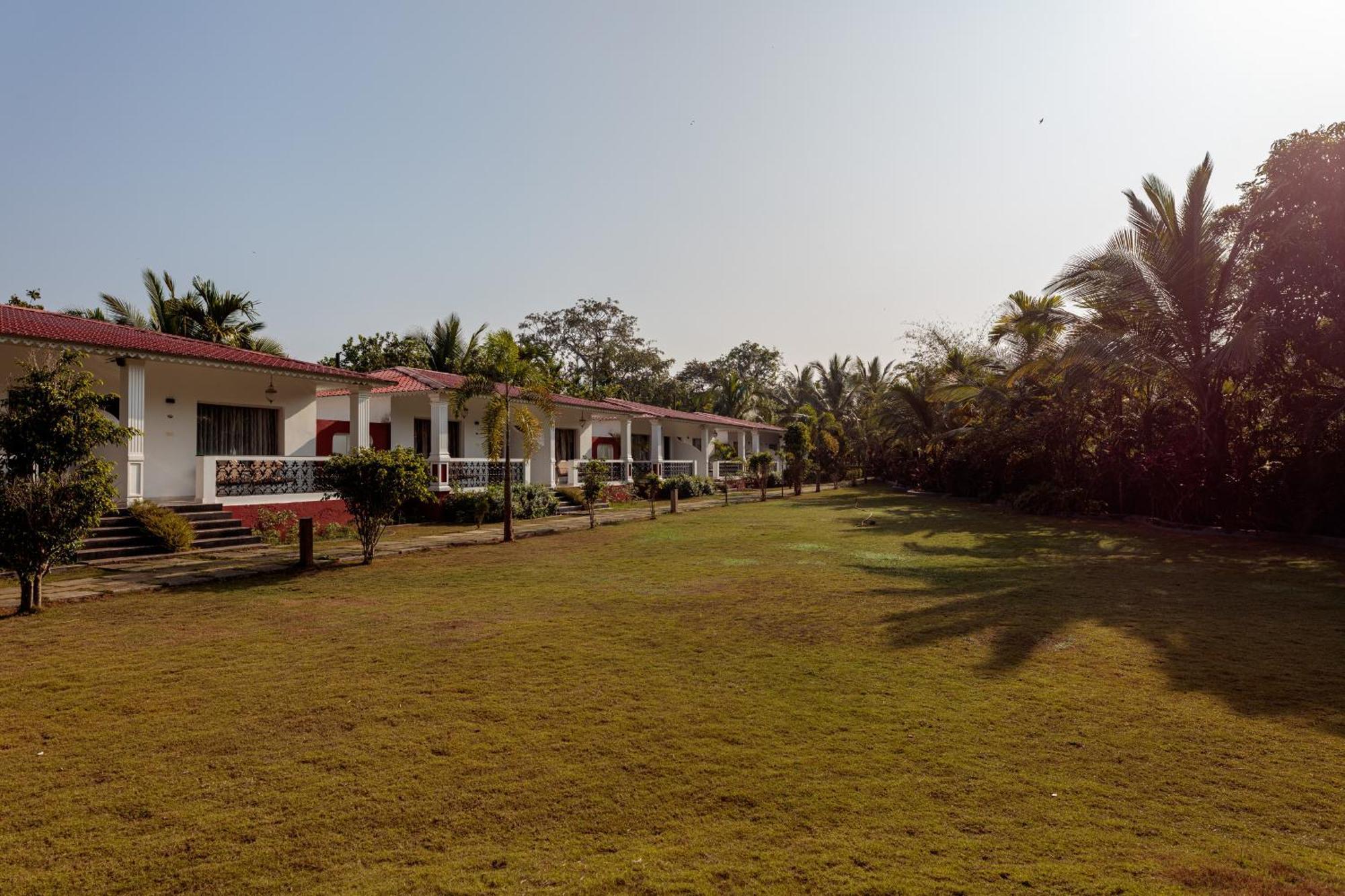 Wild Berry Resort Agonda 캔코나 외부 사진