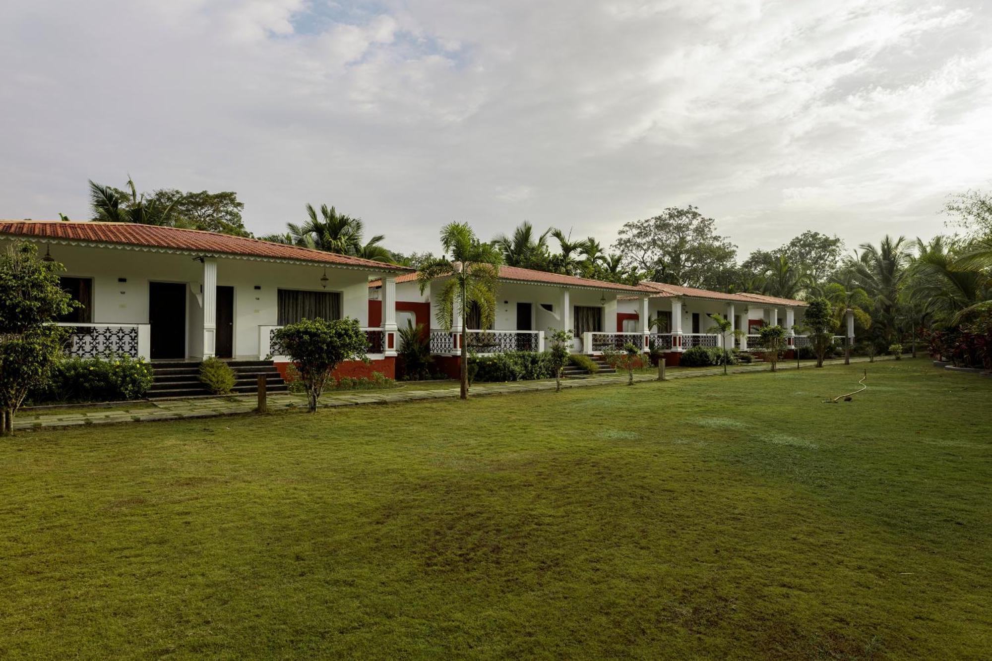 Wild Berry Resort Agonda 캔코나 외부 사진